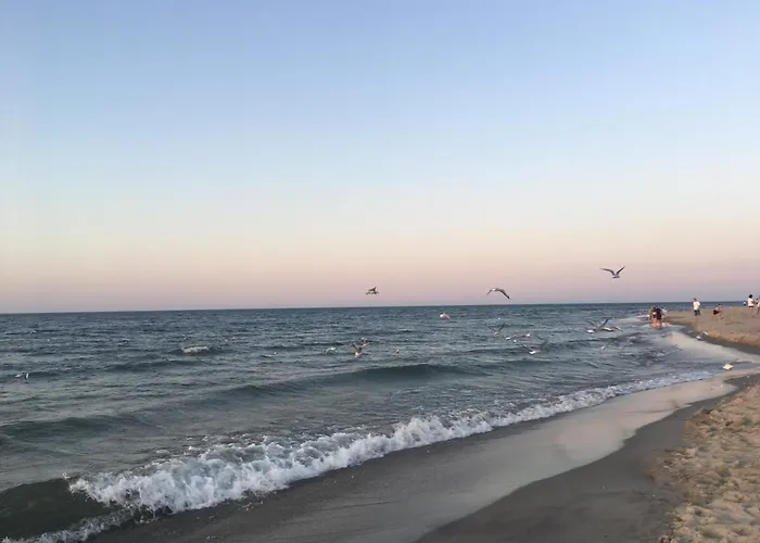 Neptun * Ястшембя-Гура